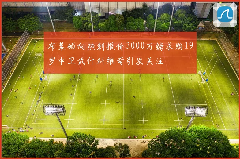 布莱顿向热刺报价3000万镑求购19岁中卫武什科维奇引发关注